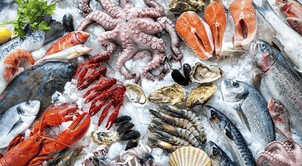 Các món lẩu nóng hổi